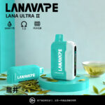 LANA16000口一次性拋棄式電子煙
